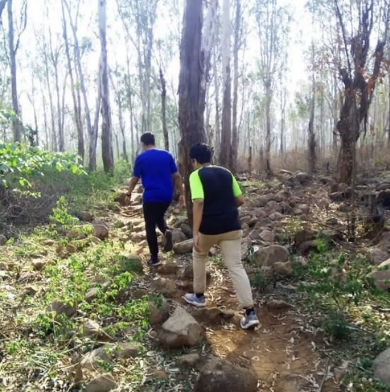 fun filled activites in yelagiri fun filled activites in yelagiri